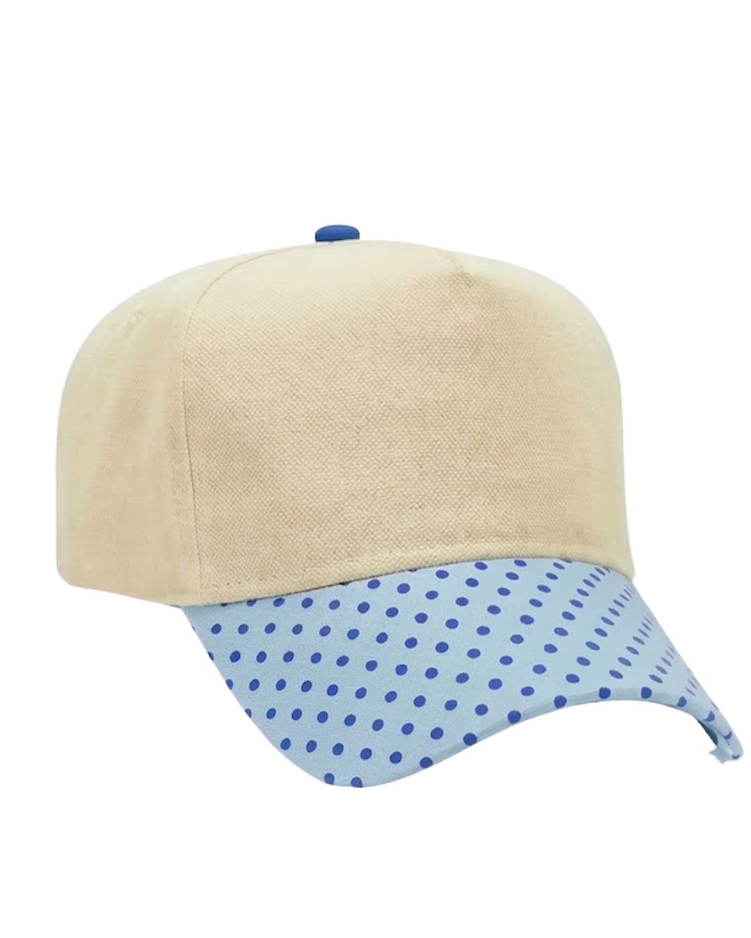 Canvas Hat - Specialty Bill Prints Polka Dots & Stripes